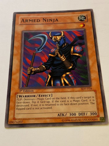 Sdp 018 ninja - ninja, armato