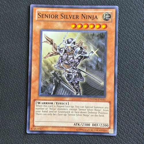 Ninja argento senior - ninja, |