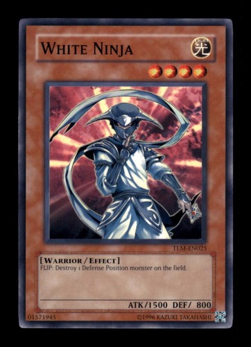 White ninja tlm en025 - ninja, tlm-en025